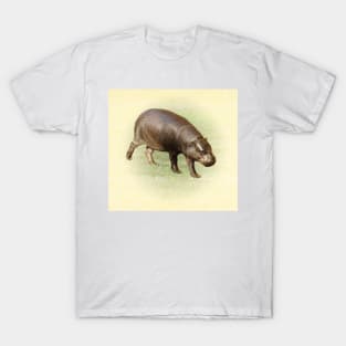 Pygmy hippopotamus T-Shirt